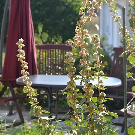 Feriendomizil-usetom Uckeritz